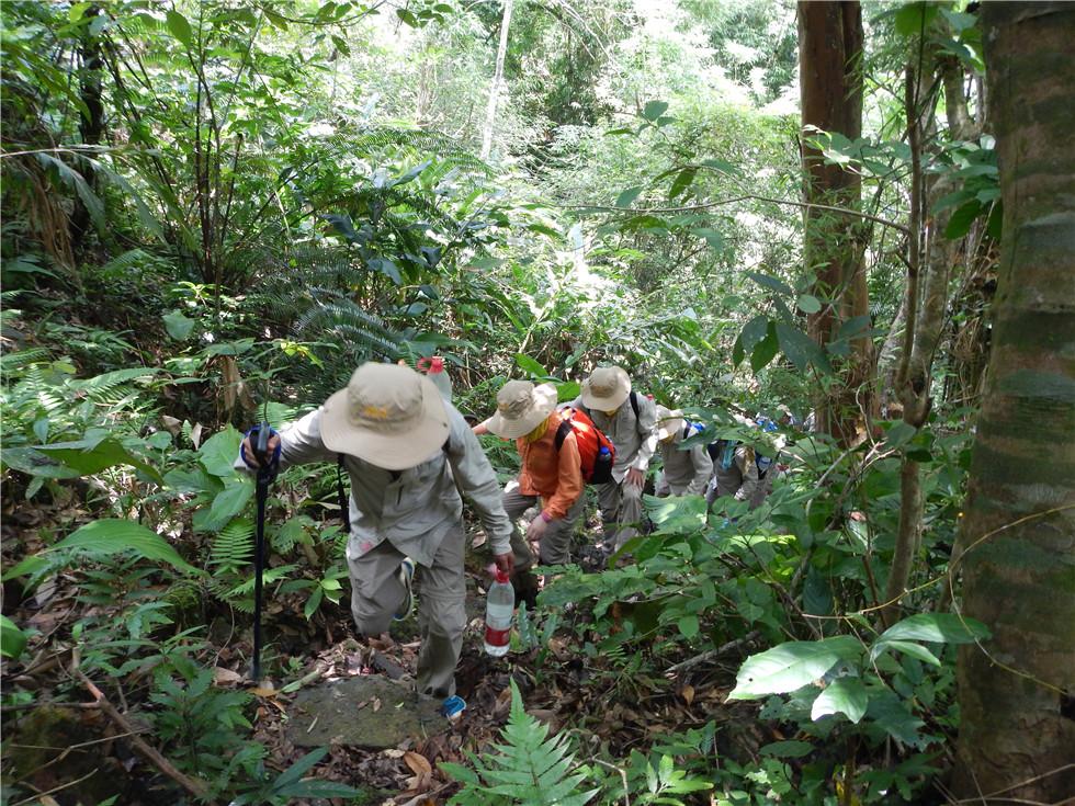 海南热带原始雨林穿越